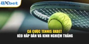cá cược tennis