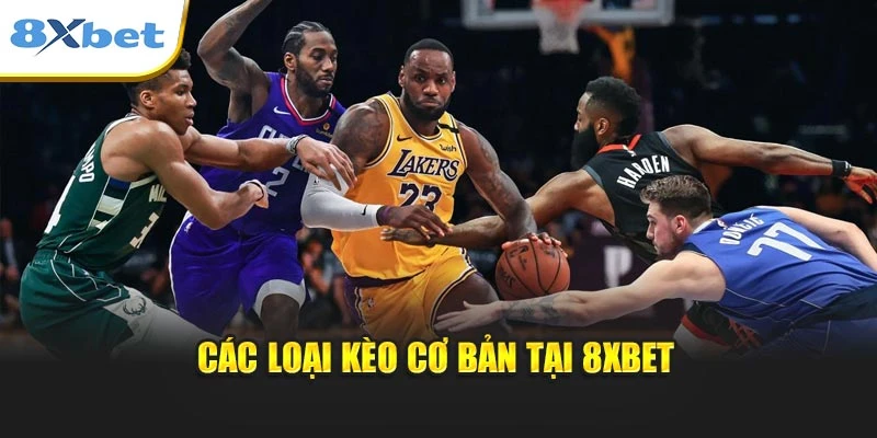 Các loại kèo cơ bản tại 8xbet