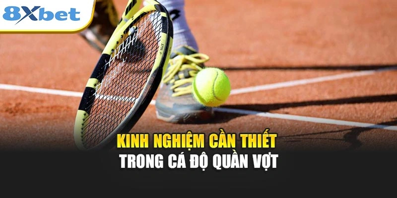 Kinh nghiệm cần thiết trong cá độ quần vợt