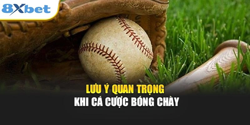 Lưu ý quan trọng khi cá cược bóng chày