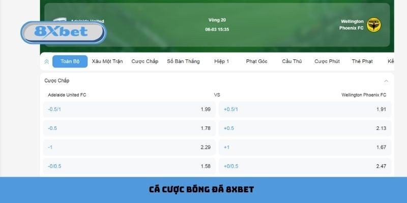 Bảng cược chấp bóng đá hiển thị các mức 0/0.5, 0.5 và 0.5/1