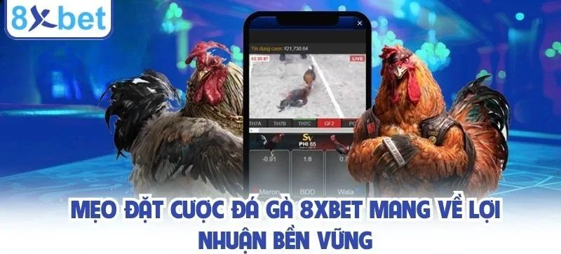 Màn hình điện thoại hiển thị bảng kèo đá gà online 8Xbet với cửa Meron và Wala