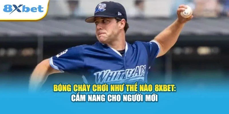Cá cược bóng chày cho người mới với kèo moneyline, run line và tài xỉu tại 8Xbet