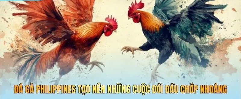 Tranh minh họa hai chiến kê đối đầu chớp nhoáng trong trận sabong