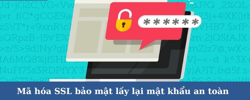 Đặt lại mật khẩu mới qua kết nối mã hóa SSL khi lấy lại mật khẩu 8Xbet