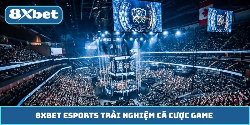 Esports là gì: khán đài kín chỗ tại một giải đấu thể thao điện tử thế giới