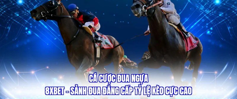 Hai chú ngựa đua song song minh họa cách cá cược đua ngựa hoạt động