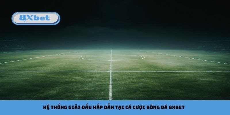 Hệ thống giải đấu bóng đá và các bộ môn thể thao được mở kèo tại 8Xbet