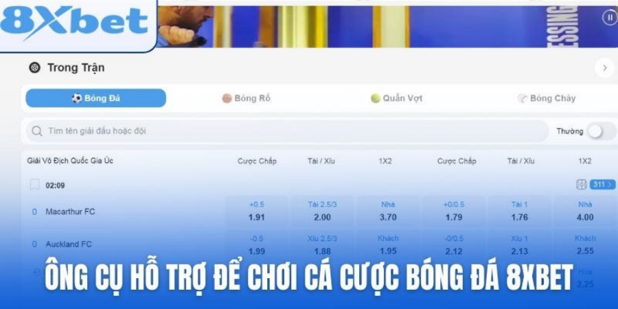 Bảng kèo thể thao minh họa việc ưu tiên cược đơn để chơi lành mạnh