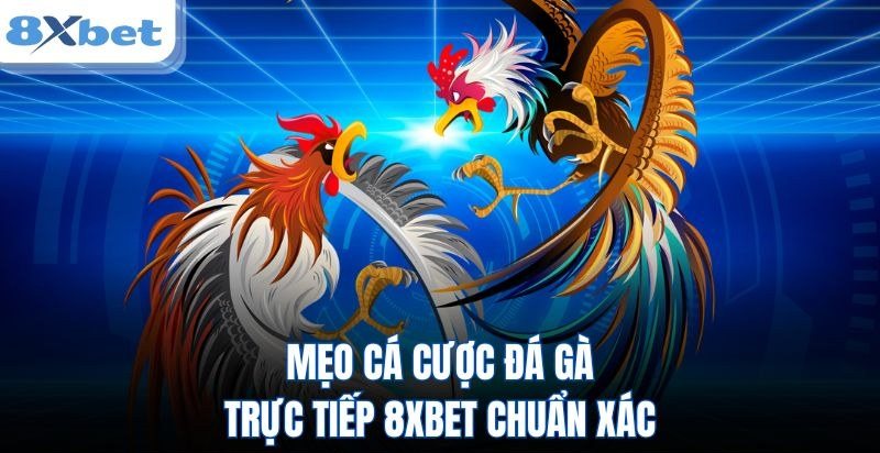 Hai gà chọi giao đấu minh họa mẹo chọn chiến kê và quản lý vốn khi cá cược