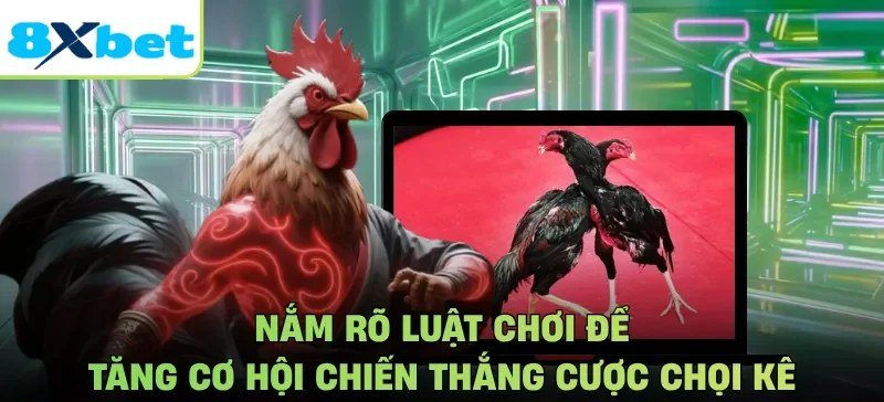 Minh họa trận chọi kê trên màn hình kèm lời nhắc nắm rõ luật chơi