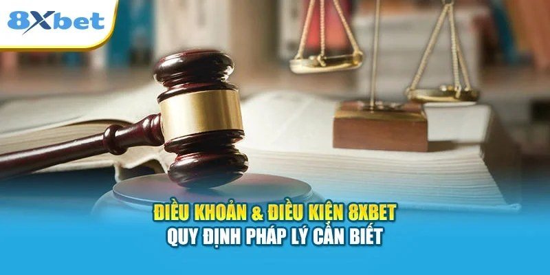 Điều khoản điều kiện 8Xbet – quy định pháp lý hội viên cần biết khi tham gia