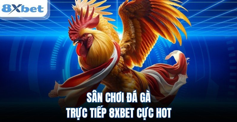 Chiến kê tung cánh trên sân chơi đá gà trực tiếp 8Xbet
