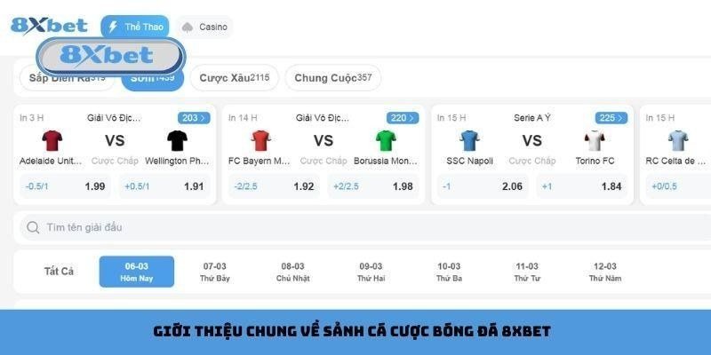 Giao diện sảnh bóng đá hiển thị mức chấp và tỷ lệ của từng trận