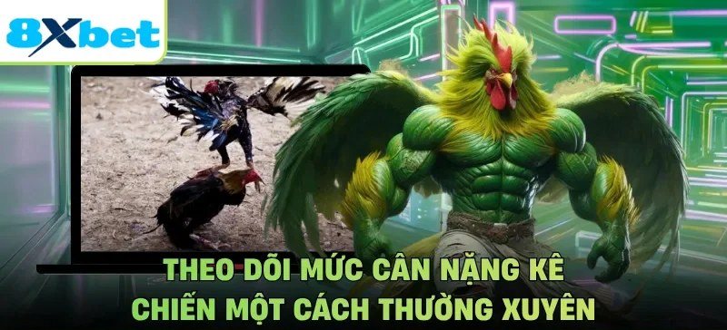 Minh họa lời nhắc theo dõi cân nặng kê chiến thường xuyên khi chăm gà đá