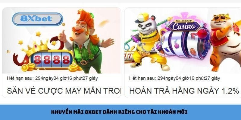 Khuyến mãi 8Xbet dành cho tài khoản mới và hoàn trả hằng ngày lên đến 1,2%