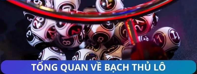Bạch thủ lô là gì và phương pháp chọn một con lô duy nhất mỗi kỳ tại 8Xbet