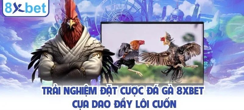 Hai gà chọi tung đòn trong trận đá gà cựa dao trên màn hình trực tiếp
