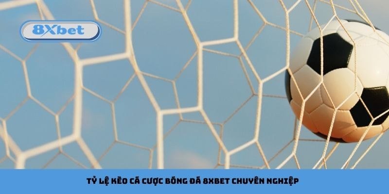 Cách đọc tỷ lệ kèo bóng đá và quy đổi odds trên bảng cược 8Xbet