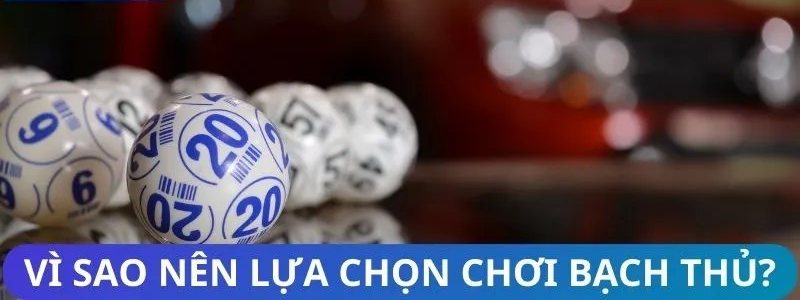 Bóng số 20 minh họa ưu điểm của bạch thủ lô so với song thủ và dàn lô